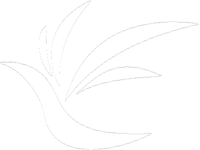 NTPU Logo